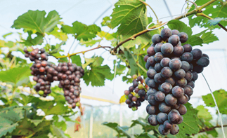 弘度科技2020“凝心蓄力,携手共进”团建周活动圆满结束(图4) 弘度科技2020“凝心蓄力,携手共进”团建周活动圆满结束(图4)